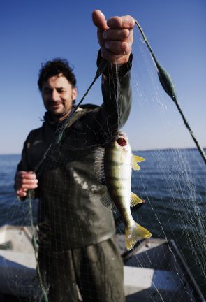 Fränzle's Fränzle's