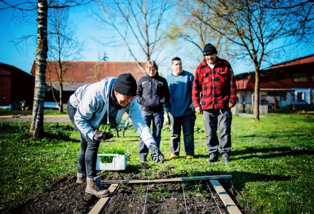 Team, Gutshof Heidensand, Lustenau Team, Gutshof Heidensand, Lustenau