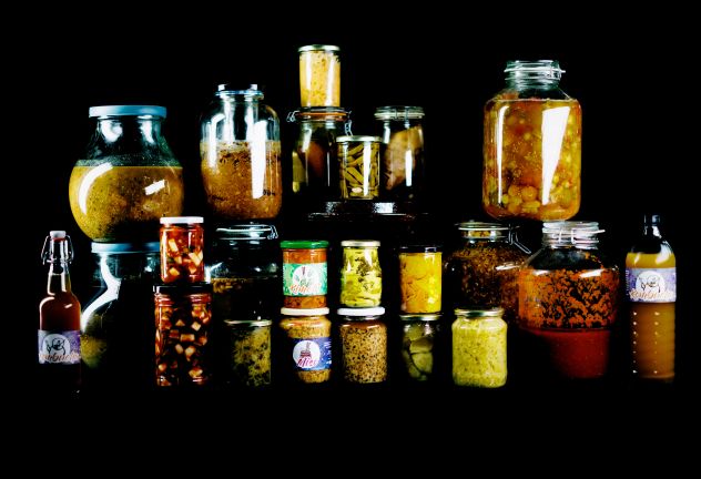 Bacteriosapiens Bacteriosapiens