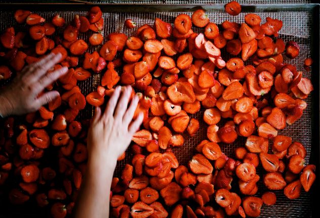 Schobel Höchstgenuss, Höchst Schobel Höchstgenuss, Höchst